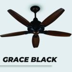 Grace Black