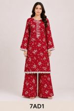 Digital print Long shirt with Plazo