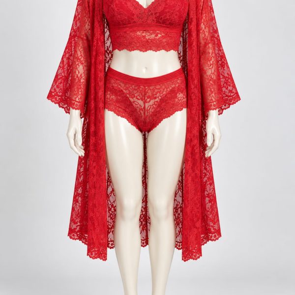 Red Net & Lace Nightwear set with Robe