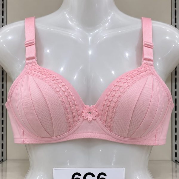Premium Imported Padded Jersey Bra