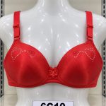 Premium Imported Padded Jersey Bra