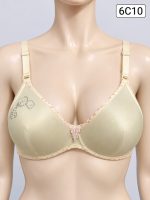 Premium Imported Padded Jersey Bra