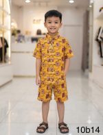 Printed Niker shirt on linen