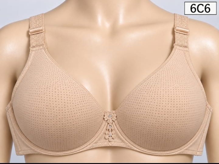 WhatsApp Image 2026-09-08 at 6.00.31 PM Premium Imported Padded Jersey Bra - Image 1