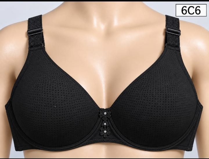 WhatsApp Image 2026-09-08 at 6.07.21 PM Premium Imported Padded Jersey Bra - Image 1