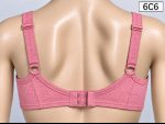 Premium Imported Padded Jersey Bra - Image 2