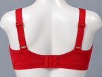 Premium Imported Padded Jersey Bra - Image 2