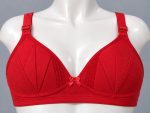 Premium Imported Padded Jersey Bra