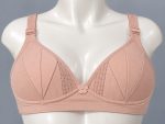 Premium Imported Padded Jersey Bra
