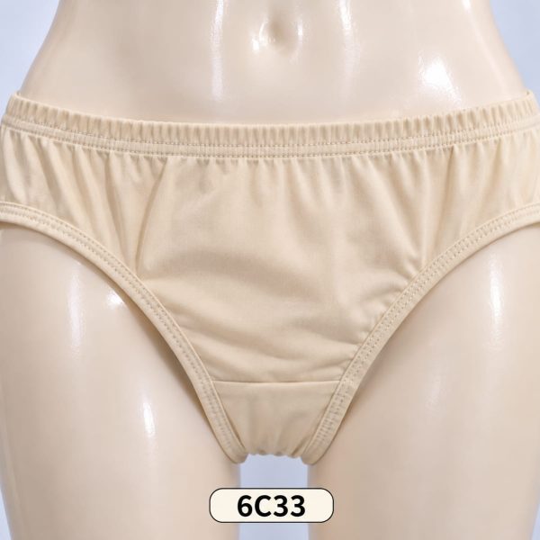 Women’s Classic Brief Panty