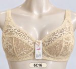 Elegant Floral Lace Net Bra