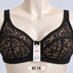 Elegant Floral Lace Net Bra