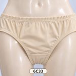 Women’s Classic Brief Panty