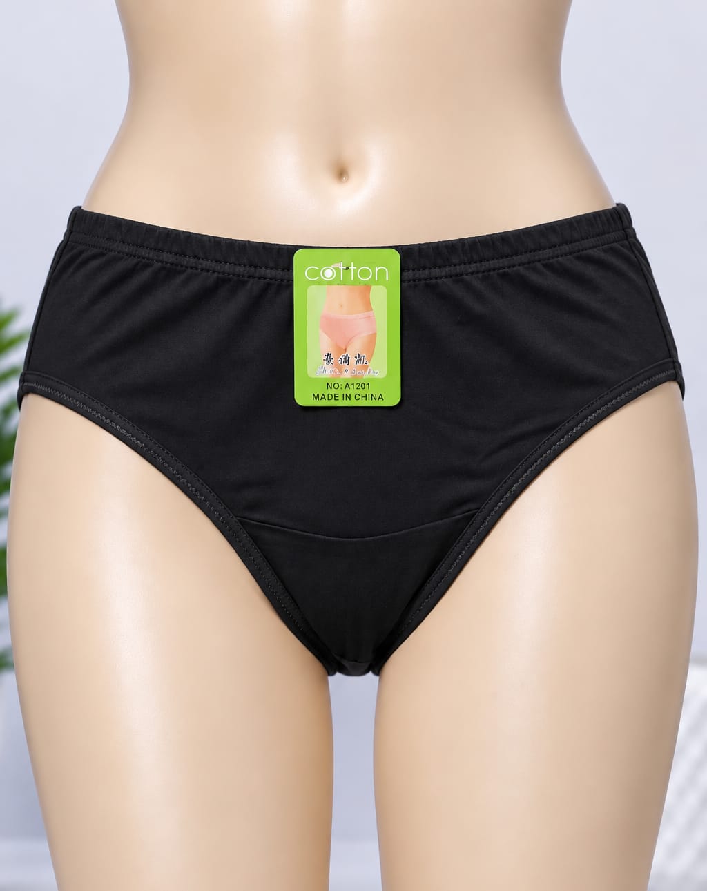WhatsApp Image 2026-09-16 at 6.33.56 PM Women’s Classic Brief Panty - Image 1
