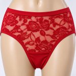 Women’s Classic Brief Net Panty