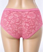 Women’s Classic Brief Net Panty - Image 2