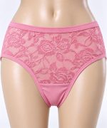 Women’s Classic Brief Net Panty
