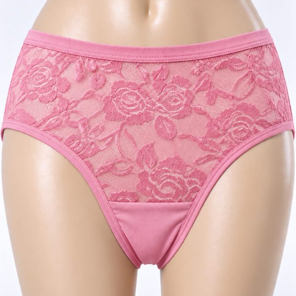 Women’s Classic Brief Net Panty