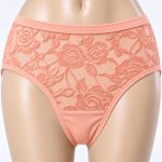 Women’s Classic Brief Net Panty