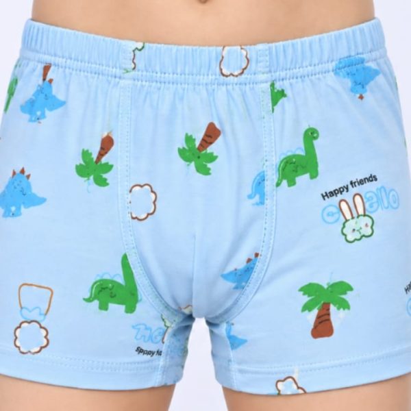 Cotton Boxer Shorts