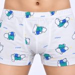 Cotton Boxer Shorts