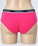 Women’s Classic Brief Panty - Image 2