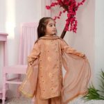 Embroidered shirt with Plazo