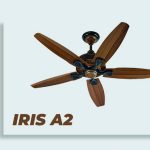 Iris A2