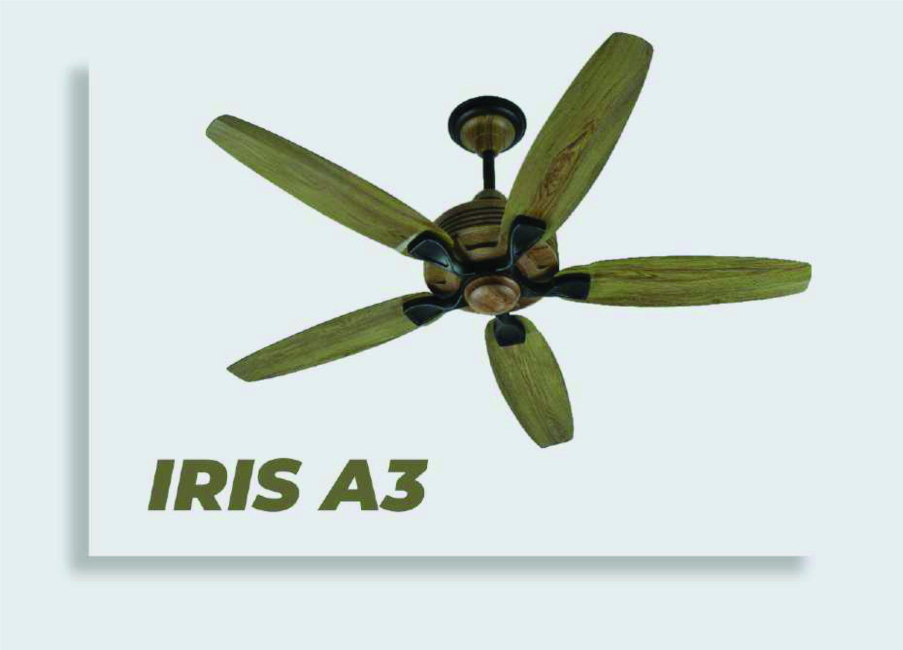 iris a3 Iris A3 - Image 1