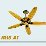 Iris A1
