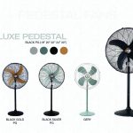 Delux Pedestal Fan
