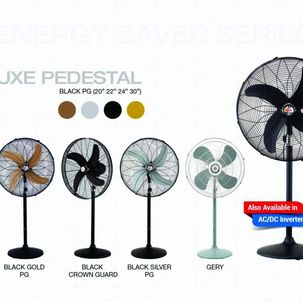 Delux Pedestal Fan AC/DC