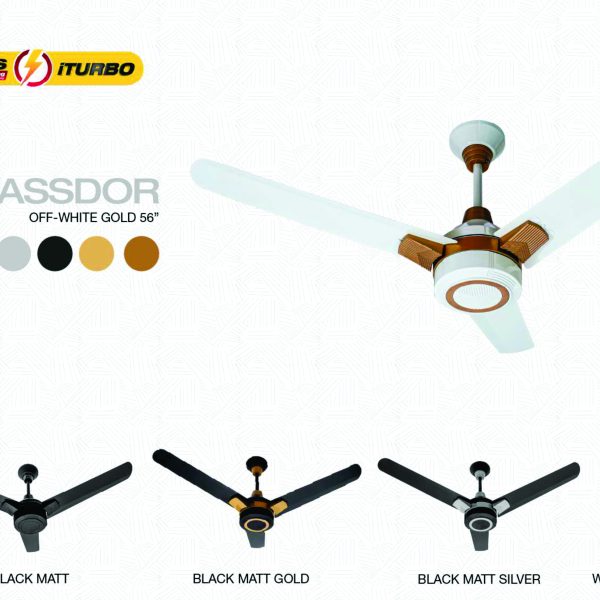 Ambassdor